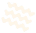 Right Visual Bottom